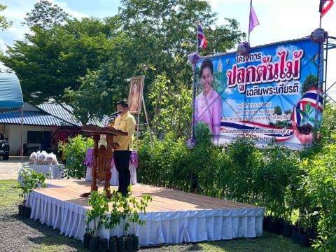 ปลูกป่าเฉลิมพระเกียรติ